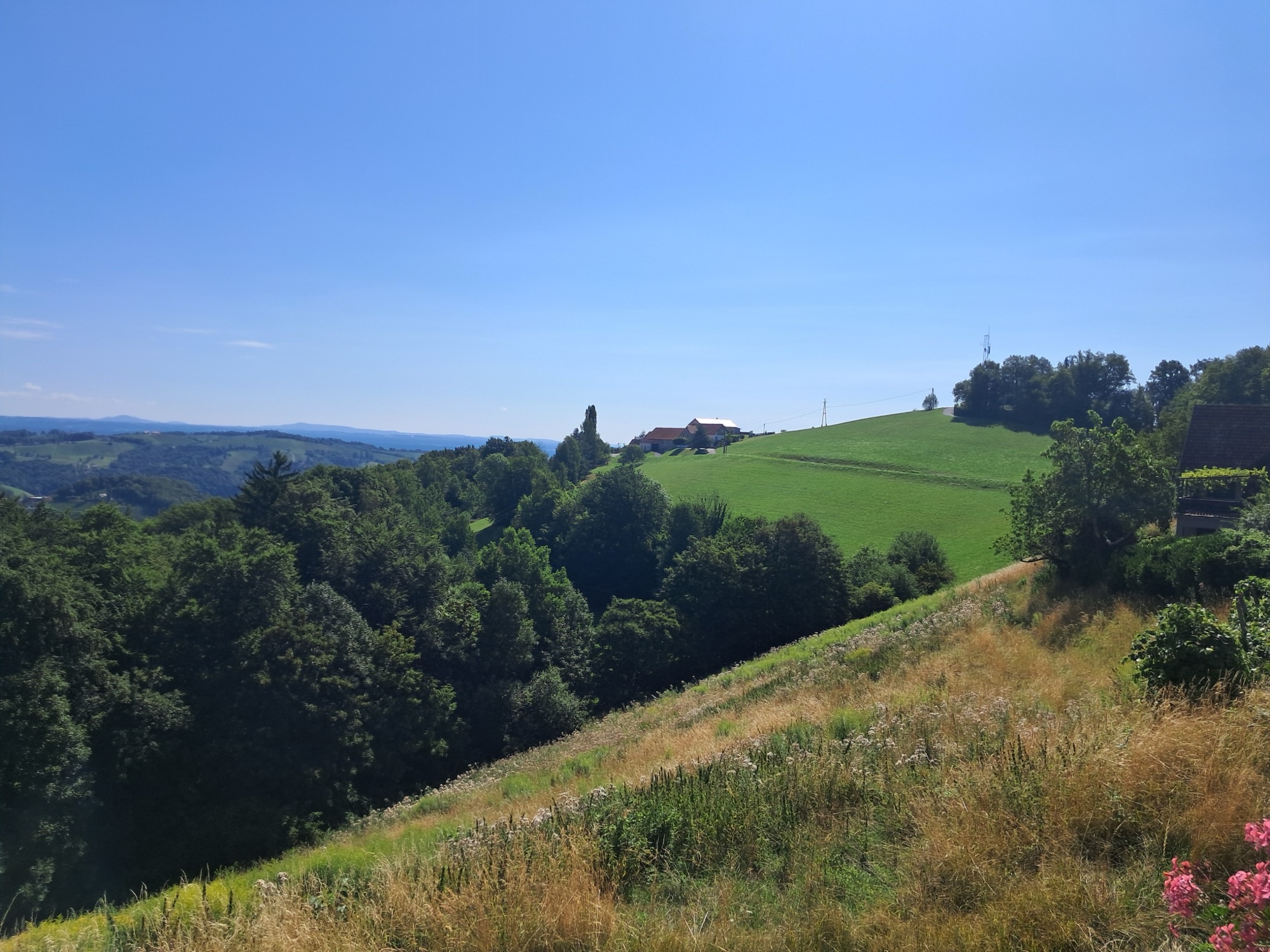 Hügellandschaft mit Häusern