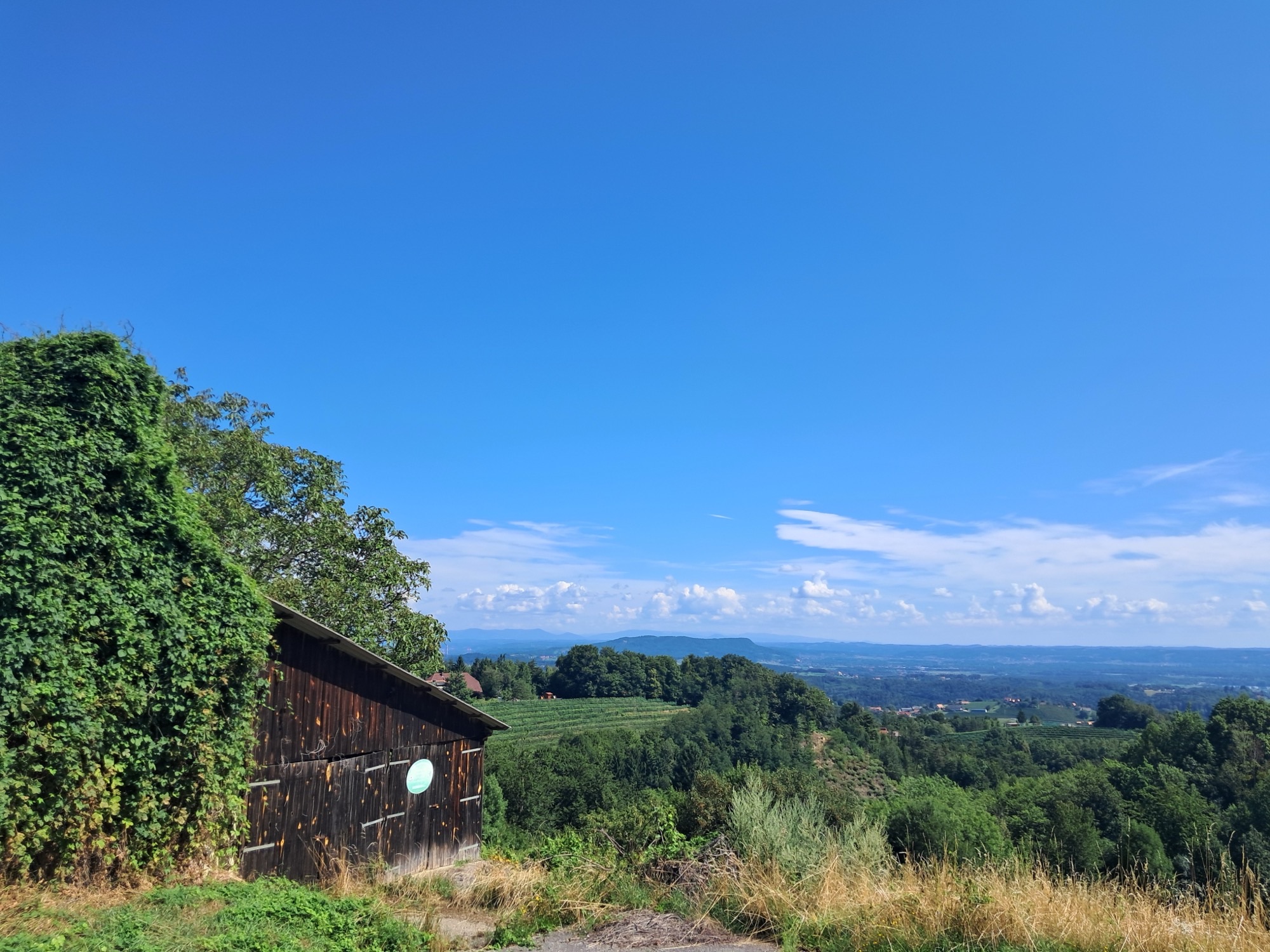 Stadel mit Weingarten-Aussicht